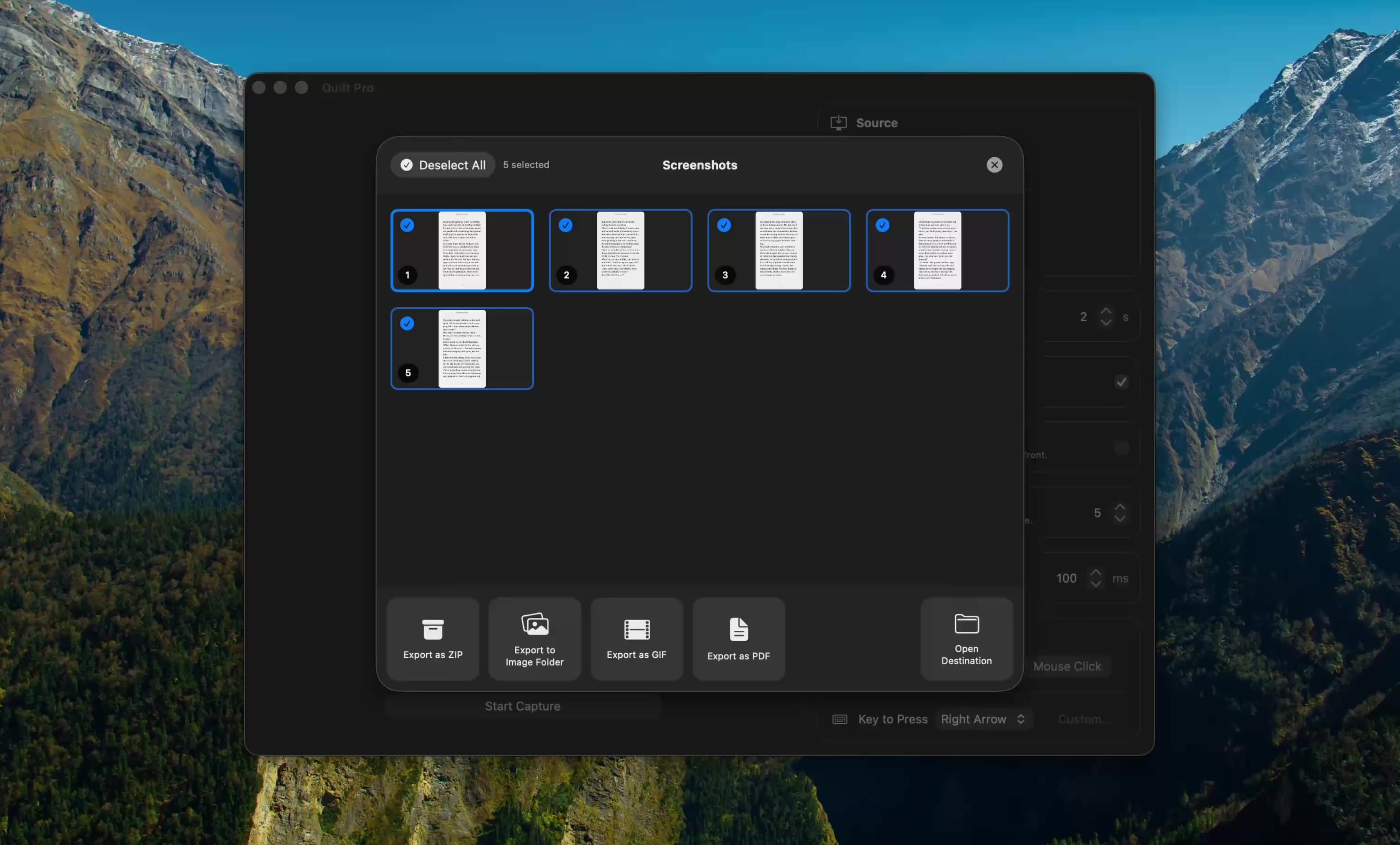 Quilt's export panel with PDF, image, GIF and ZIP options